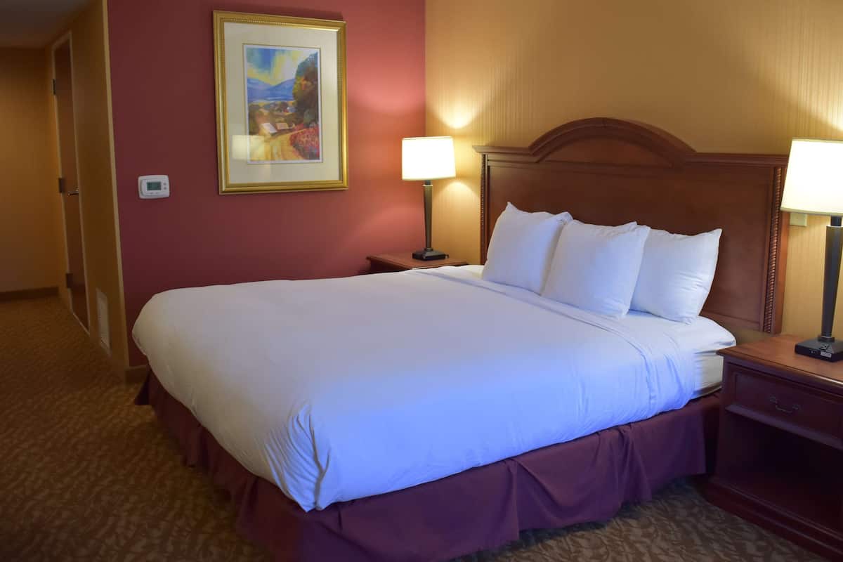 Quarto de hotel com uma cama grande, duas luminárias de cabeceira, mesa de cabeceira, quadro na parede e piso coberto por carpete.