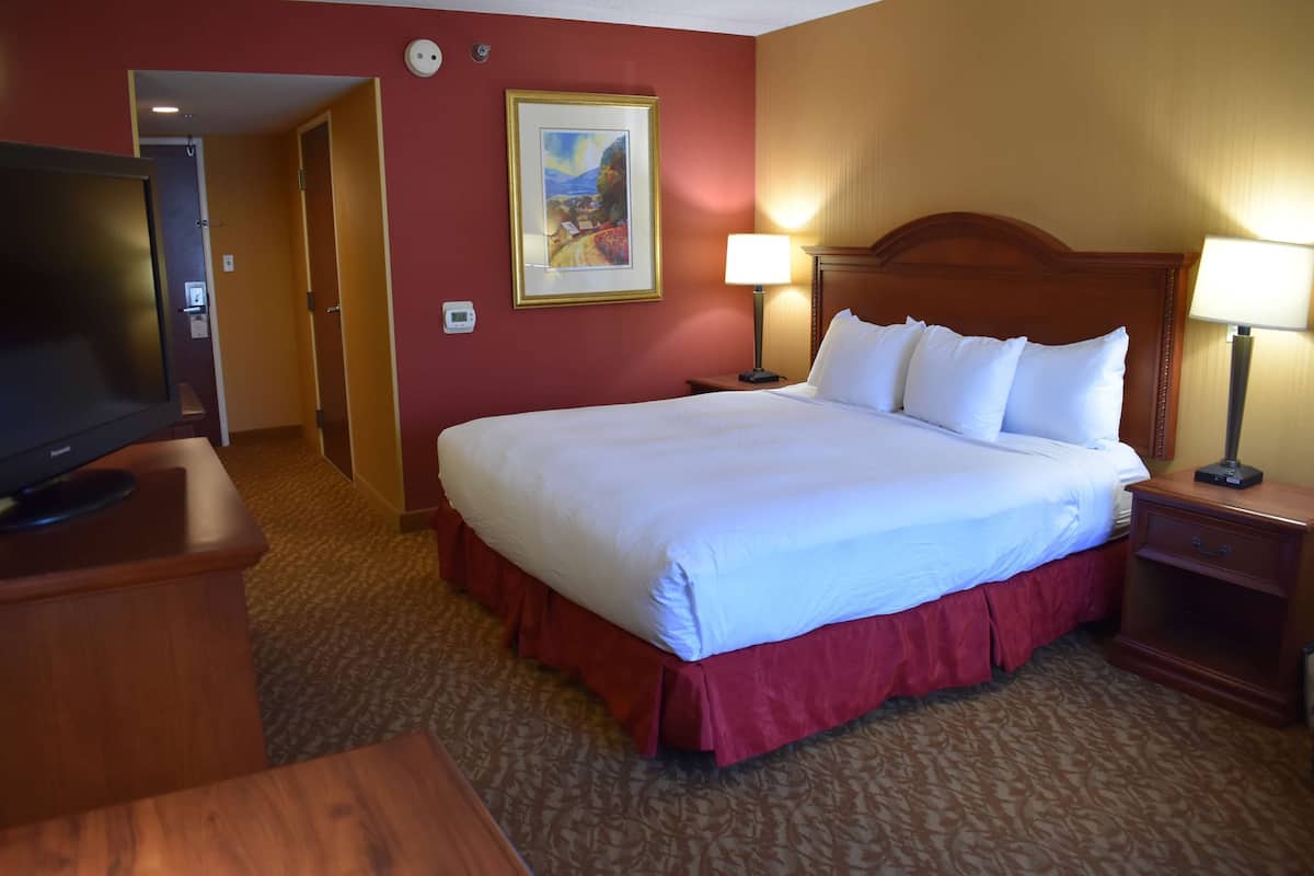 Quarto de hotel com uma cama grande, duas luminárias de cabeceira, uma televisão sobre um suporte de madeira, um quadro na parede e piso coberto de carpete.