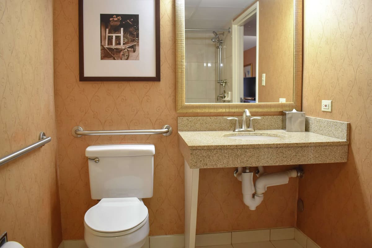 Camera, accessibile ai disabili, non fumatori | Bagno | Set di cortesia gratuito, asciugacapelli, asciugamani