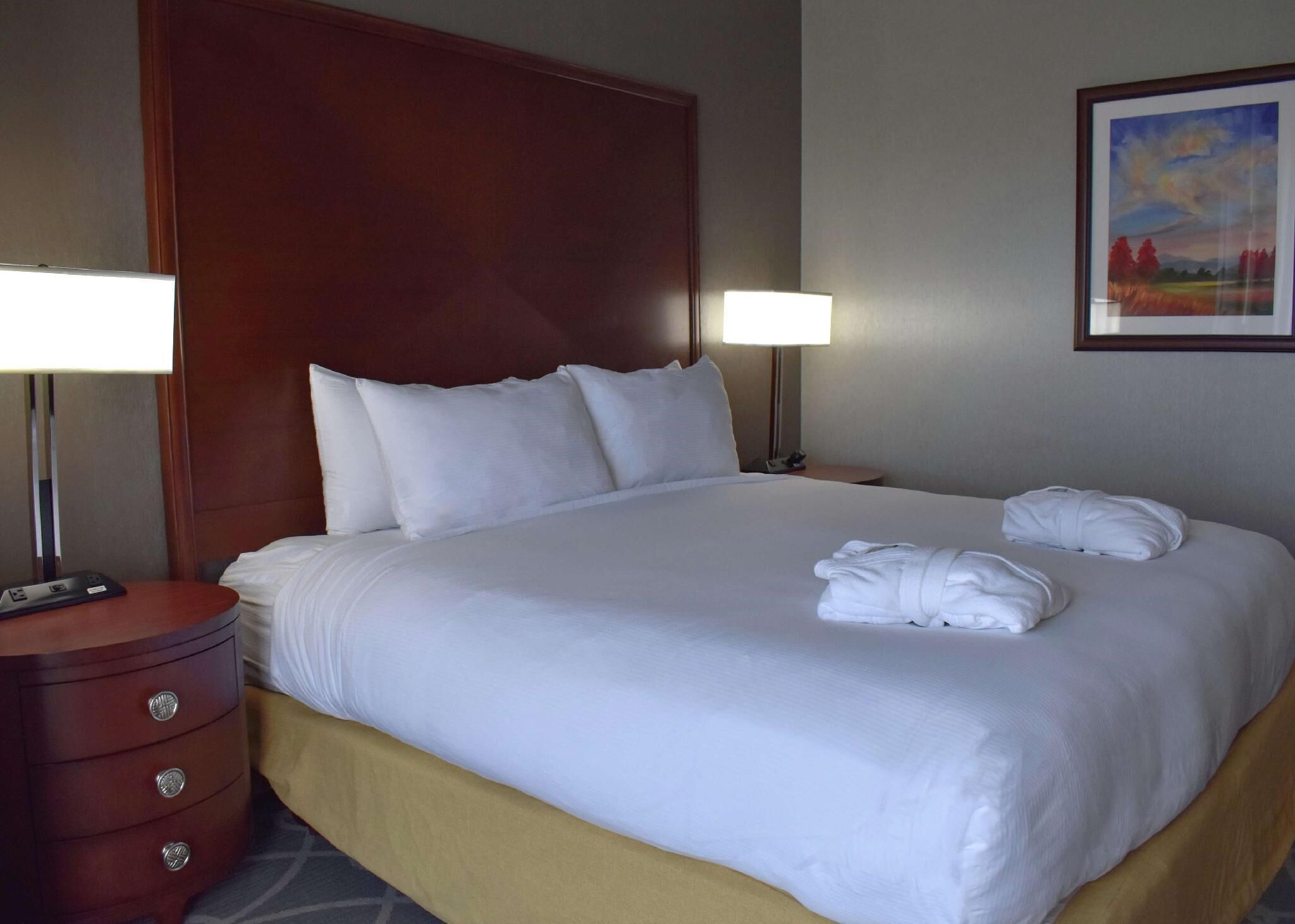 Premium bedding, down comforters, pillowtop beds, minibar