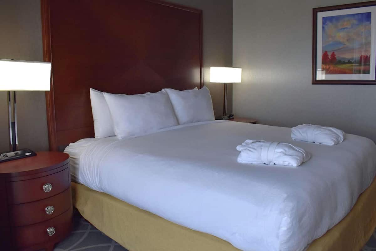 Premium bedding, down comforters, pillowtop beds, minibar