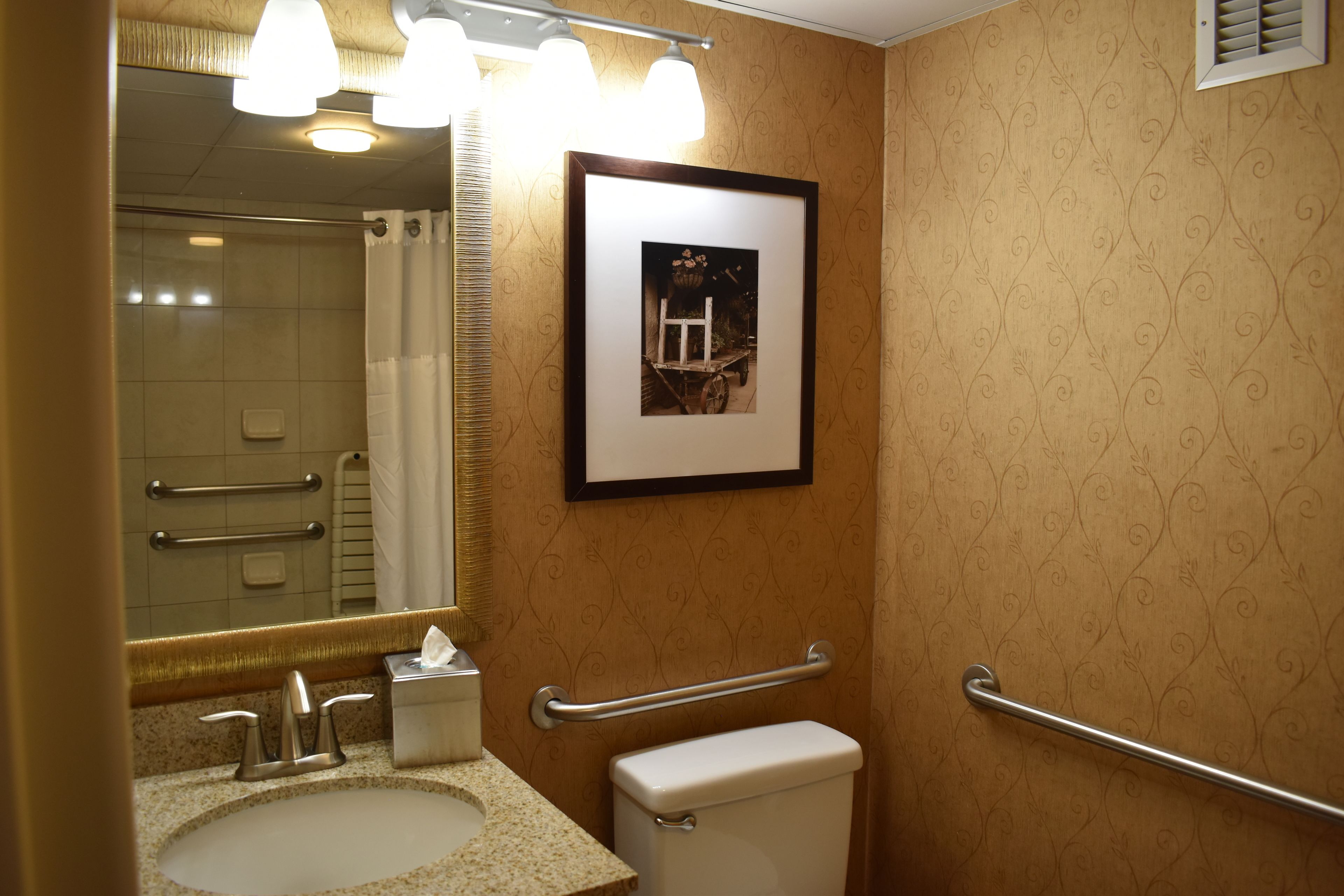 A bathroom with a sink, mirror, framed picture, and handrails.