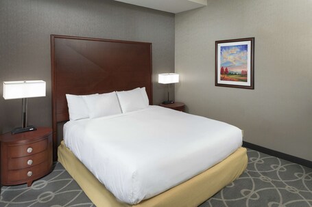 DoubleTree by Hilton Asheville Biltmore - Image 106
