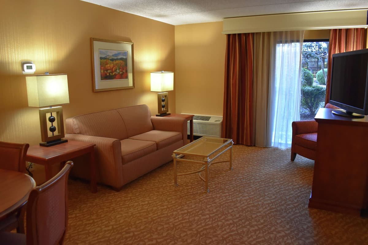Quarto de hotel com sofá, duas luminárias, televisão, mesa de centro e um quadro na parede.