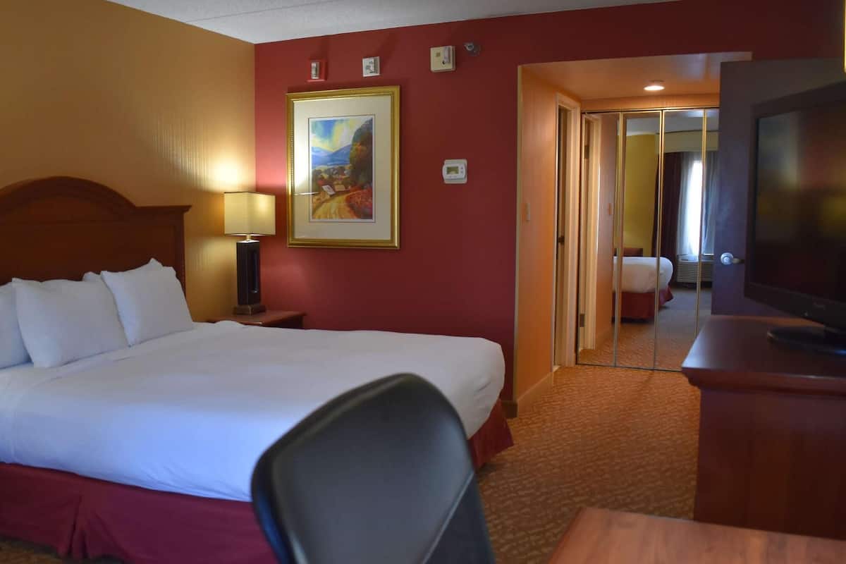 Quarto de hotel com uma cama grande, uma escrivaninha, uma cadeira, uma televisão e um quadro na parede.