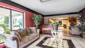 Una sala de estar con un sofá estampado, una mesa de centro de vidrio y una planta en maceta.