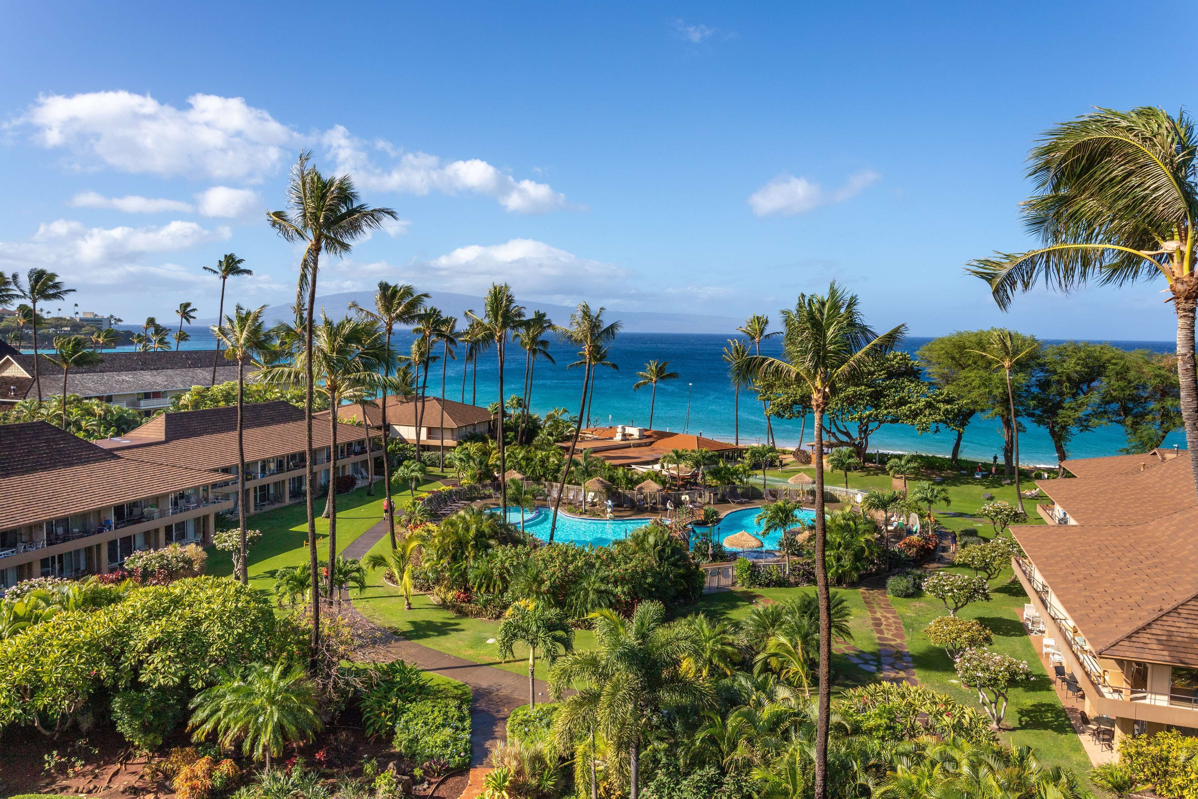 A resort with a swimming pool, palm trees, and a view of the ocean.