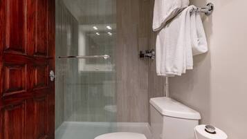 A bathroom with a glass shower enclosure, a white toilet, and a wooden door.