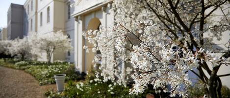 Un edificio de estilo arquitectónico clásico, rodeado por un jardín con flores blancas en flor.