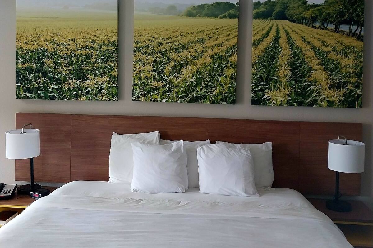 A hotel room with a large bed, two bedside lamps, and three wall-mounted paintings of a field.