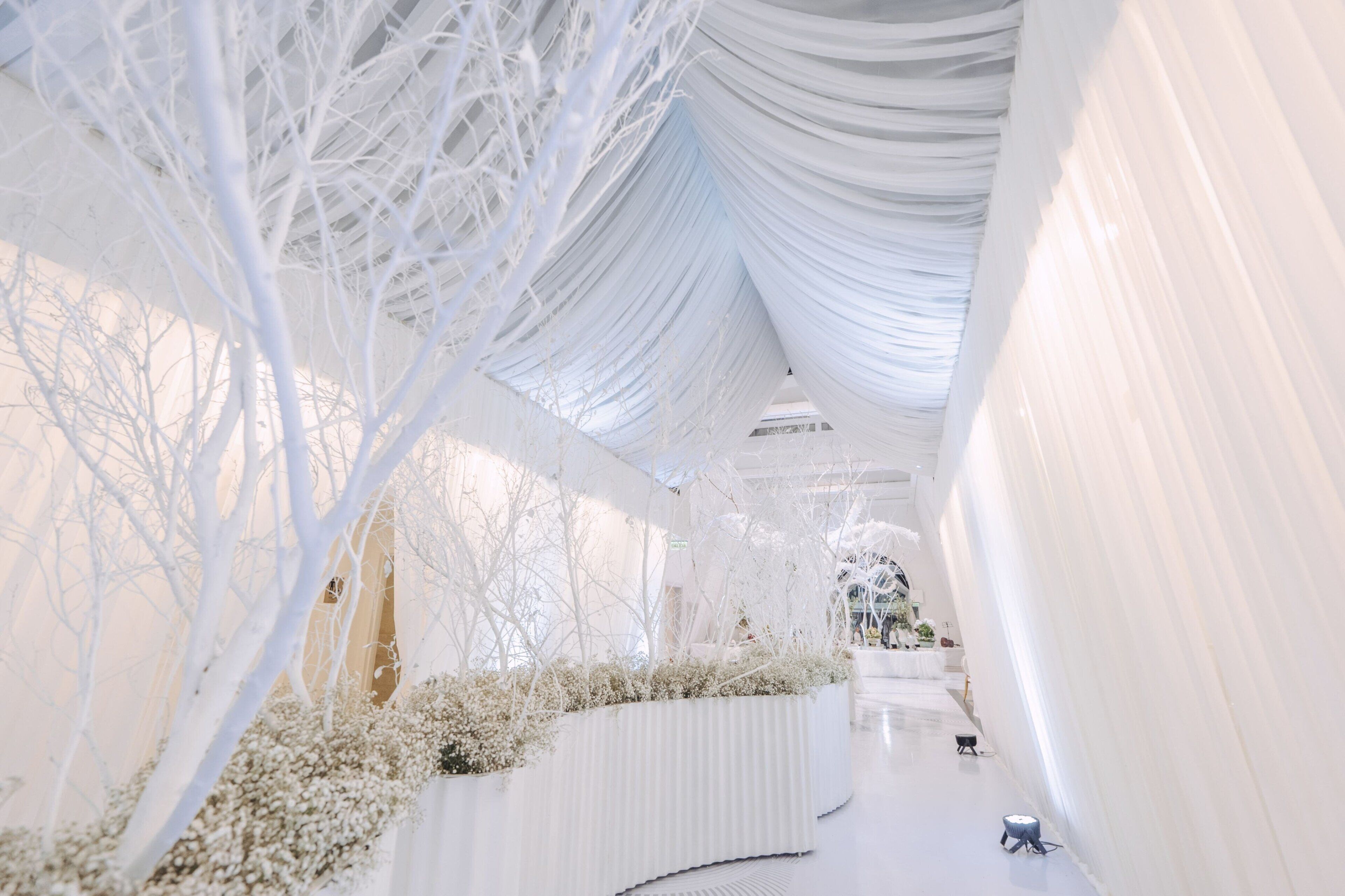 Foto - Los Tajibos, Santa Cruz de la Sierra, a Tribute Portfolio Hotel