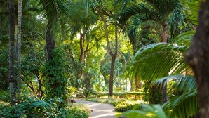 A pathway through a lush garden with various trees and shrubs. - Los Tajibos, Santa Cruz de la Sierra, a Tribute Portfolio Hotel (Santa Cruz)
