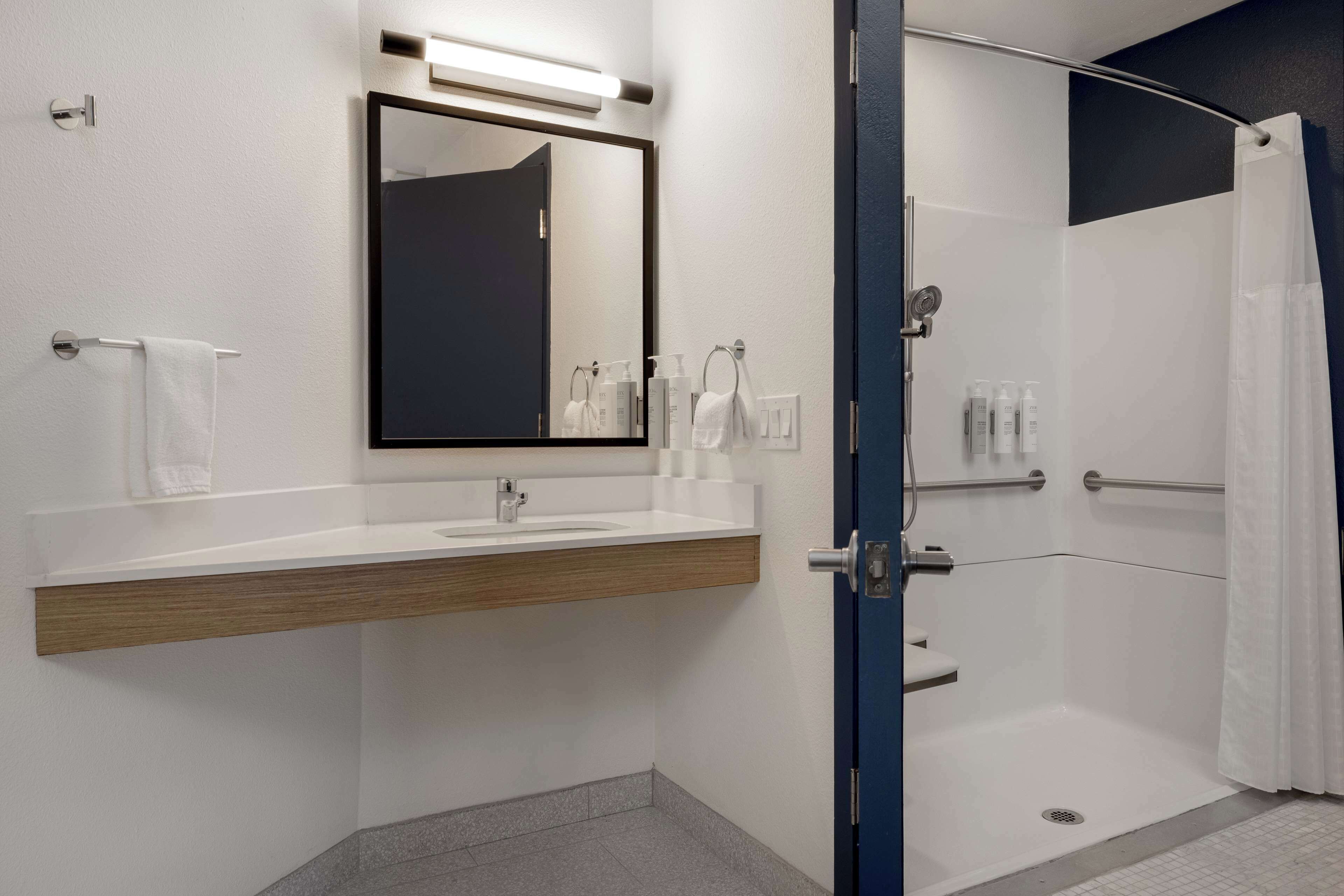 room, 1 king bed, accessible (mobility & hearing, roll-in shower) | bathroom shower