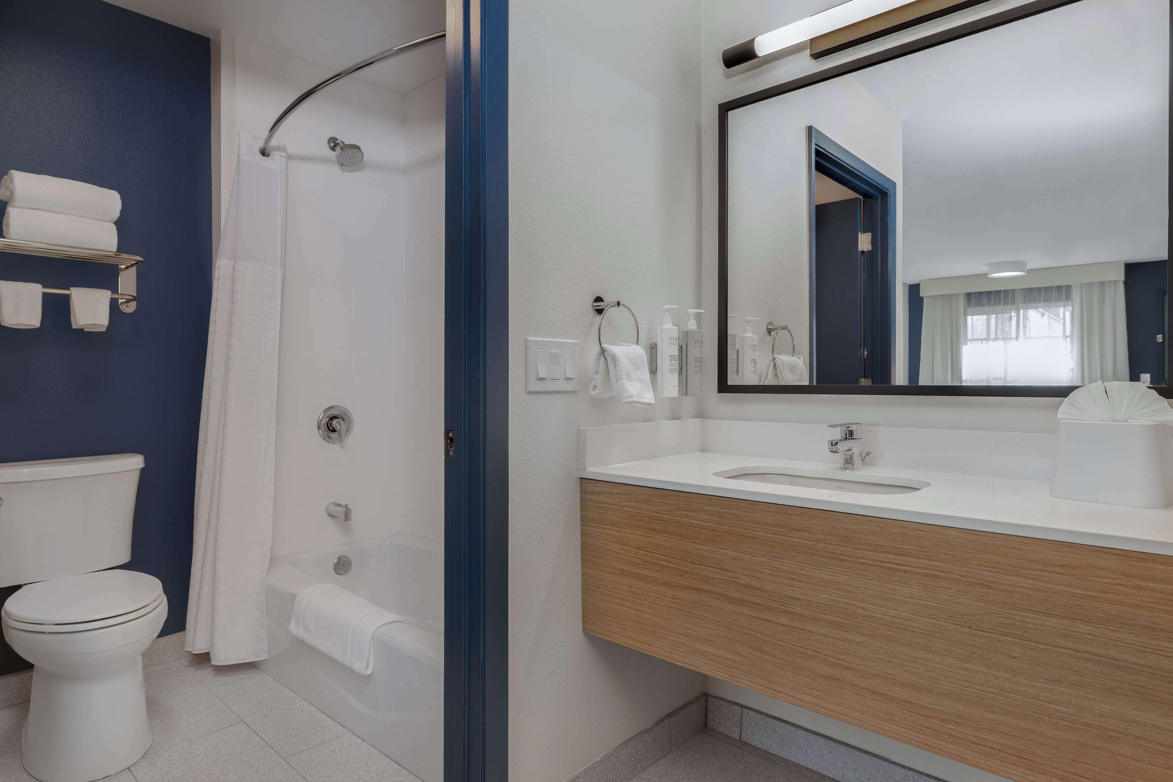 combined shower/bathtub, free toiletries, hair dryer, towels