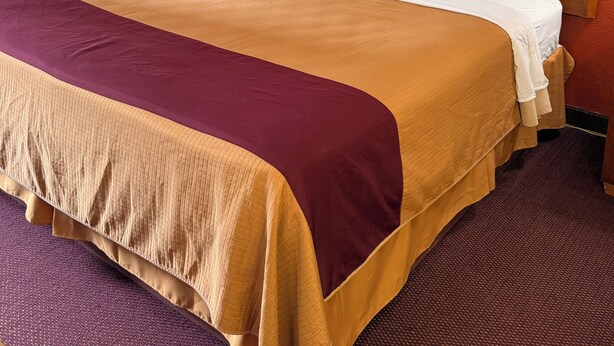 A hotel room with a large bed, a nightstand, a lamp, and two framed pictures on the wall. - Executive Inn (Schenectady)