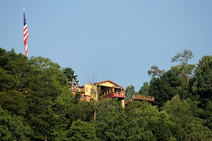 A building with a red and yellow exterior, surrounded by dense green foliage.
