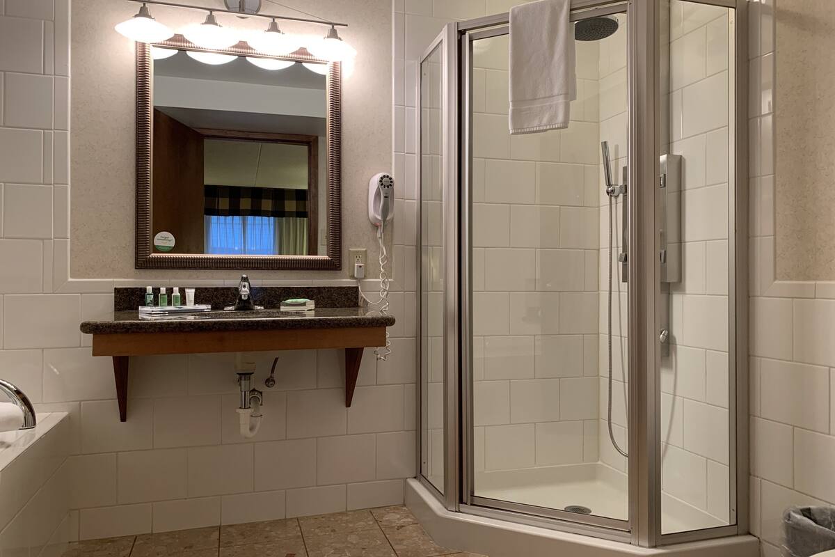 combined shower/bathtub, free toiletries, hair dryer, towels