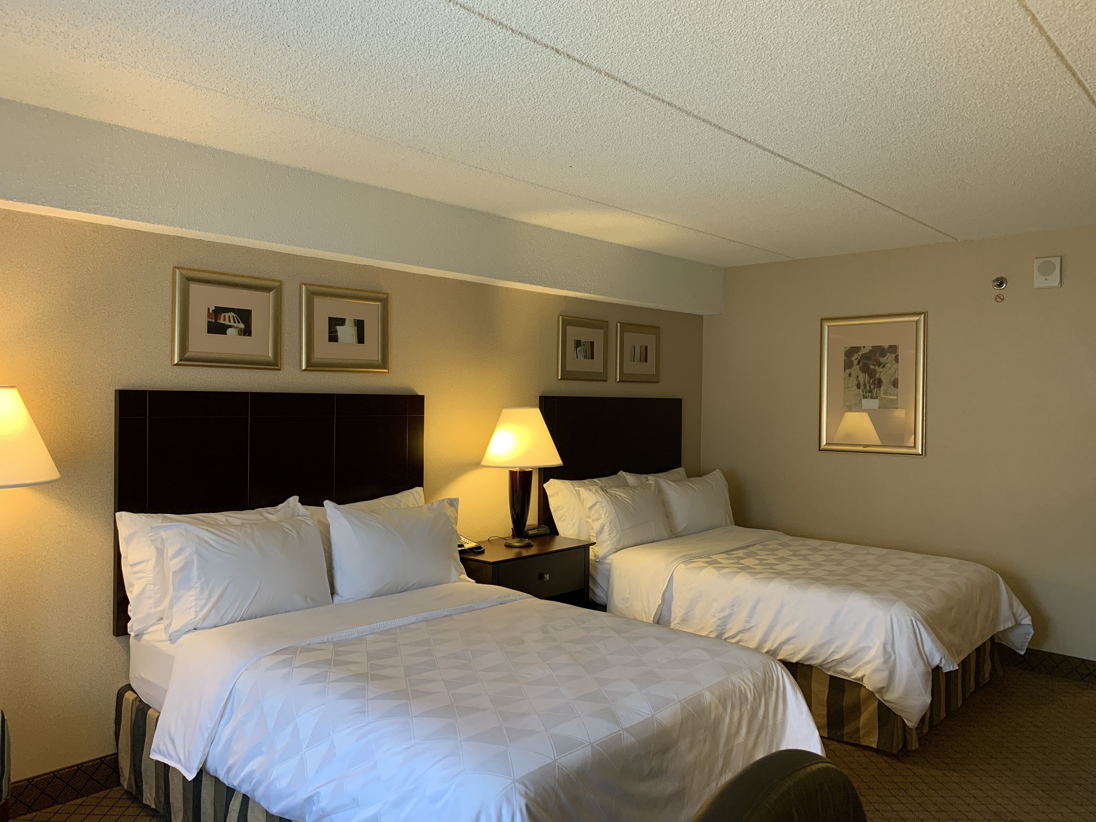 Une chambre d’hôtel avec deux lits, une tête de lit, des tables de chevet, des lampes et des tableaux encadrés aux murs.