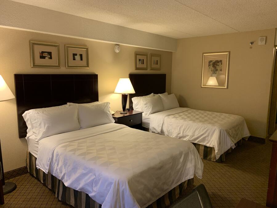 A hotel room with two beds, a nightstand, a lamp, and framed pictures on the wall.