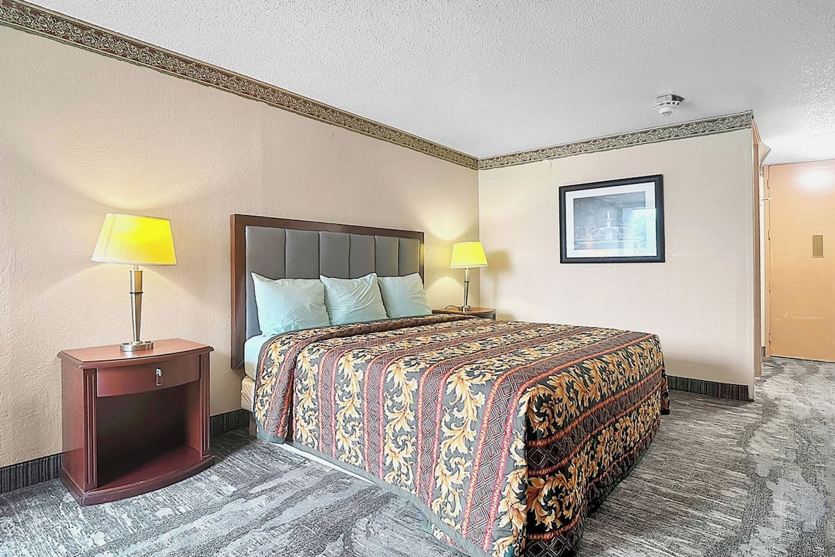 Room, 1 King Bed, Non Smoking