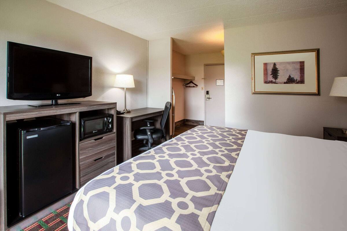 Une chambre d’hôtel comprenant un lit, un bureau avec une télévision, un réfrigérateur, un four à micro-ondes et une chaise.