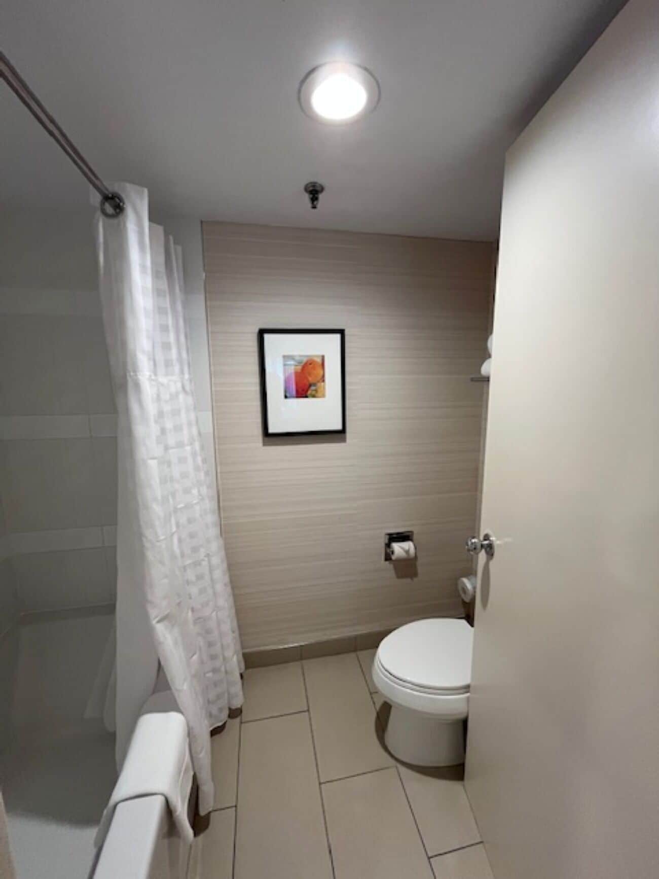 Ein Badezimmer mit Toilette, Dusche und einem gerahmten Bild an der Wand.