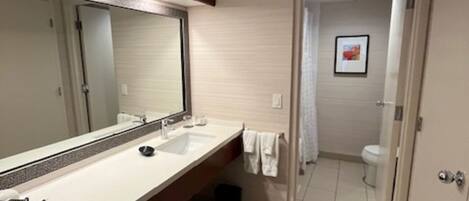 Un baño moderno con un espejo grande, un lavamanos y un inodoro.