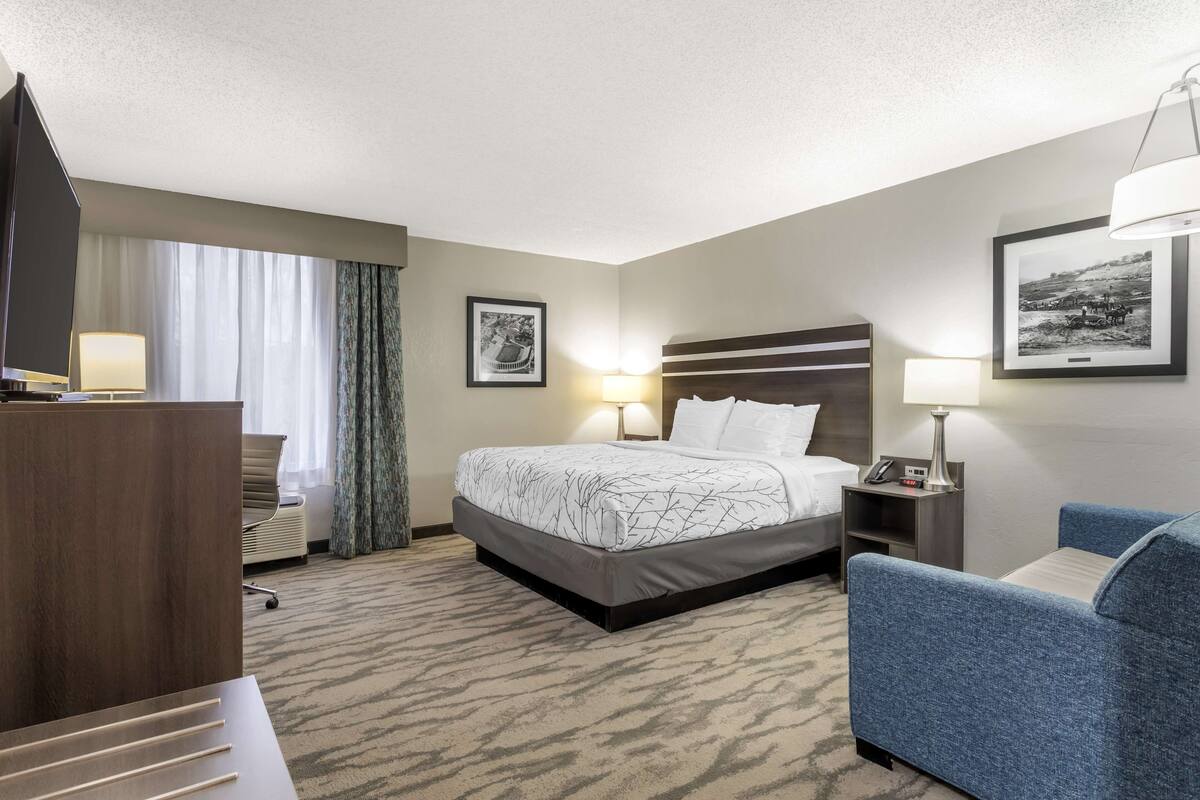 Une chambre d’hôtel avec un grand lit, un bureau, une chaise, une télévision et une lampe.