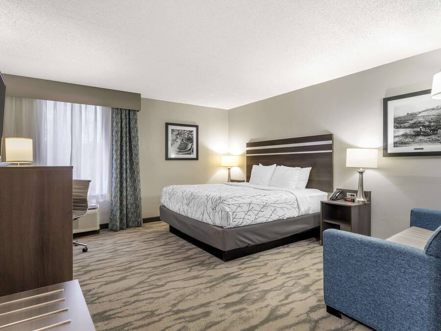 Standard Room, 1 King Bed, Accessible, Refrigerator & Microwave | Pillow-top beds, desk, laptop workspace, blackout curtains