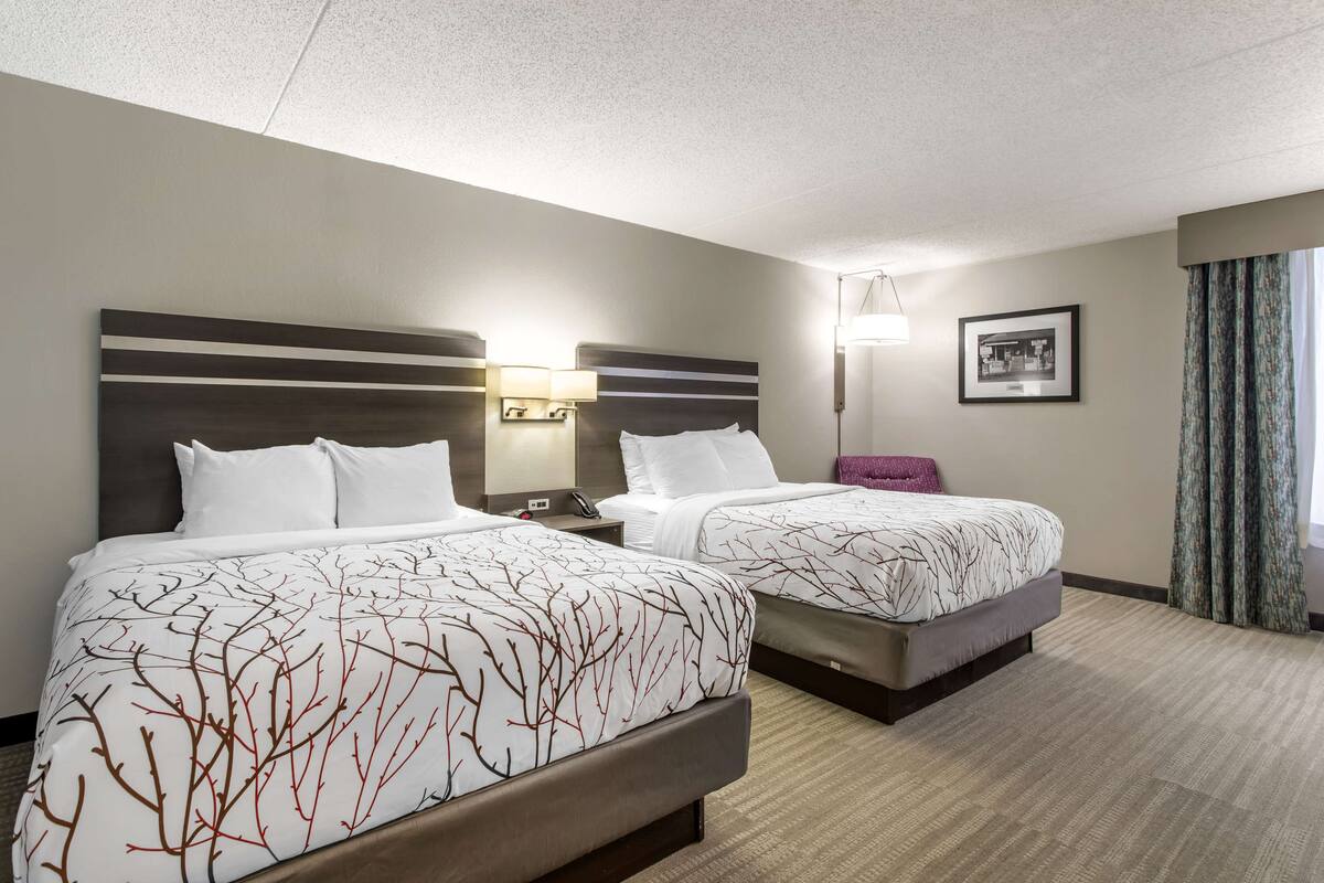 Une chambre d’hôtel avec deux lits, une table de chevet avec une lampe, un tableau encadré au mur et une fenêtre avec des rideaux.