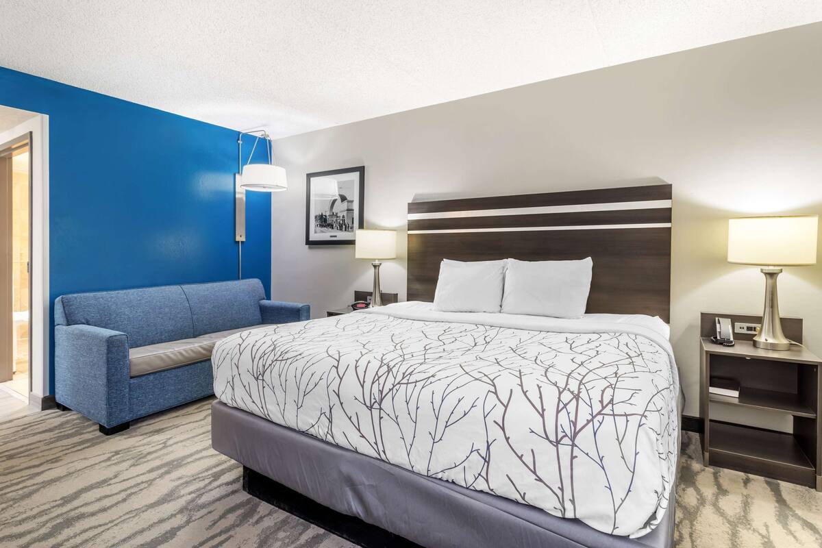 Une chambre d’hôtel avec un grand lit, un canapé bleu, une table de chevet avec une lampe et un tableau encadré au mur.