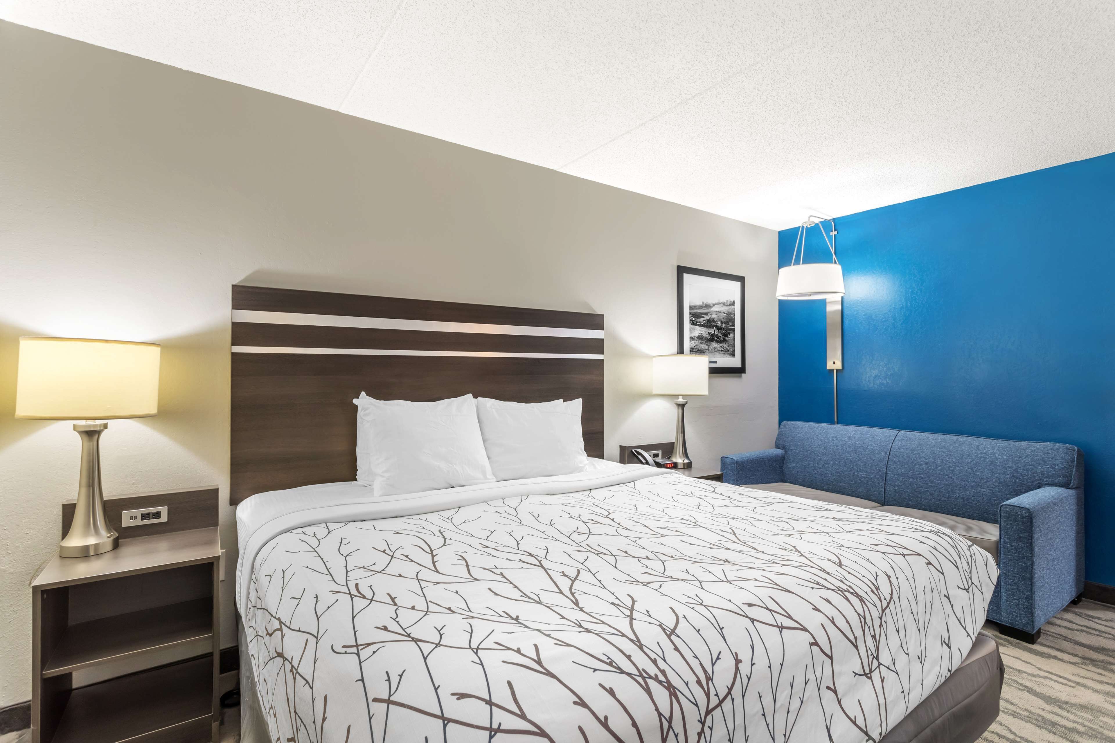 A hotel room with a bed, bedside tables, a blue accent wall, and a blue sofa.