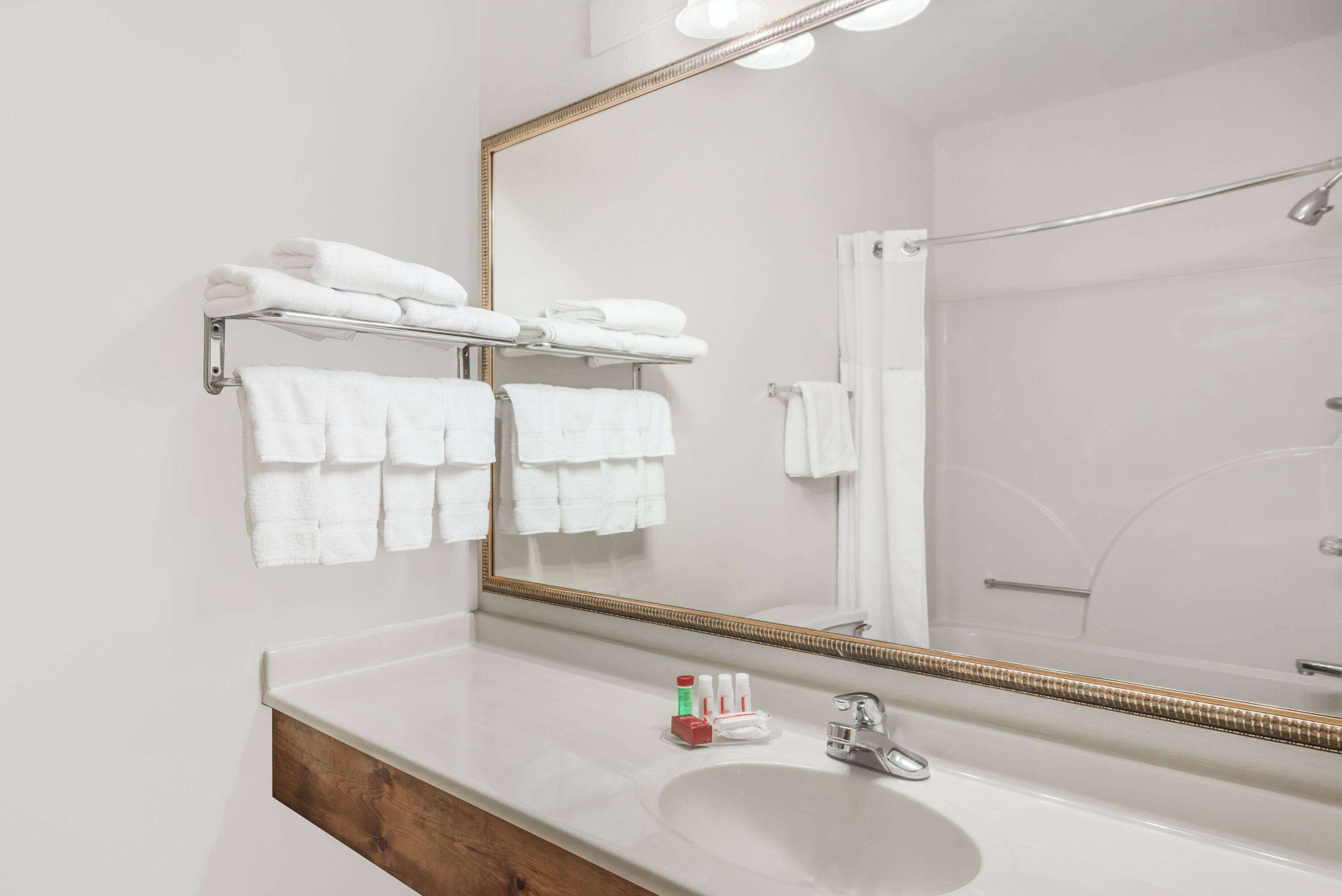 Ducha y bañera combinadas y artículos de higiene personal ecológicos