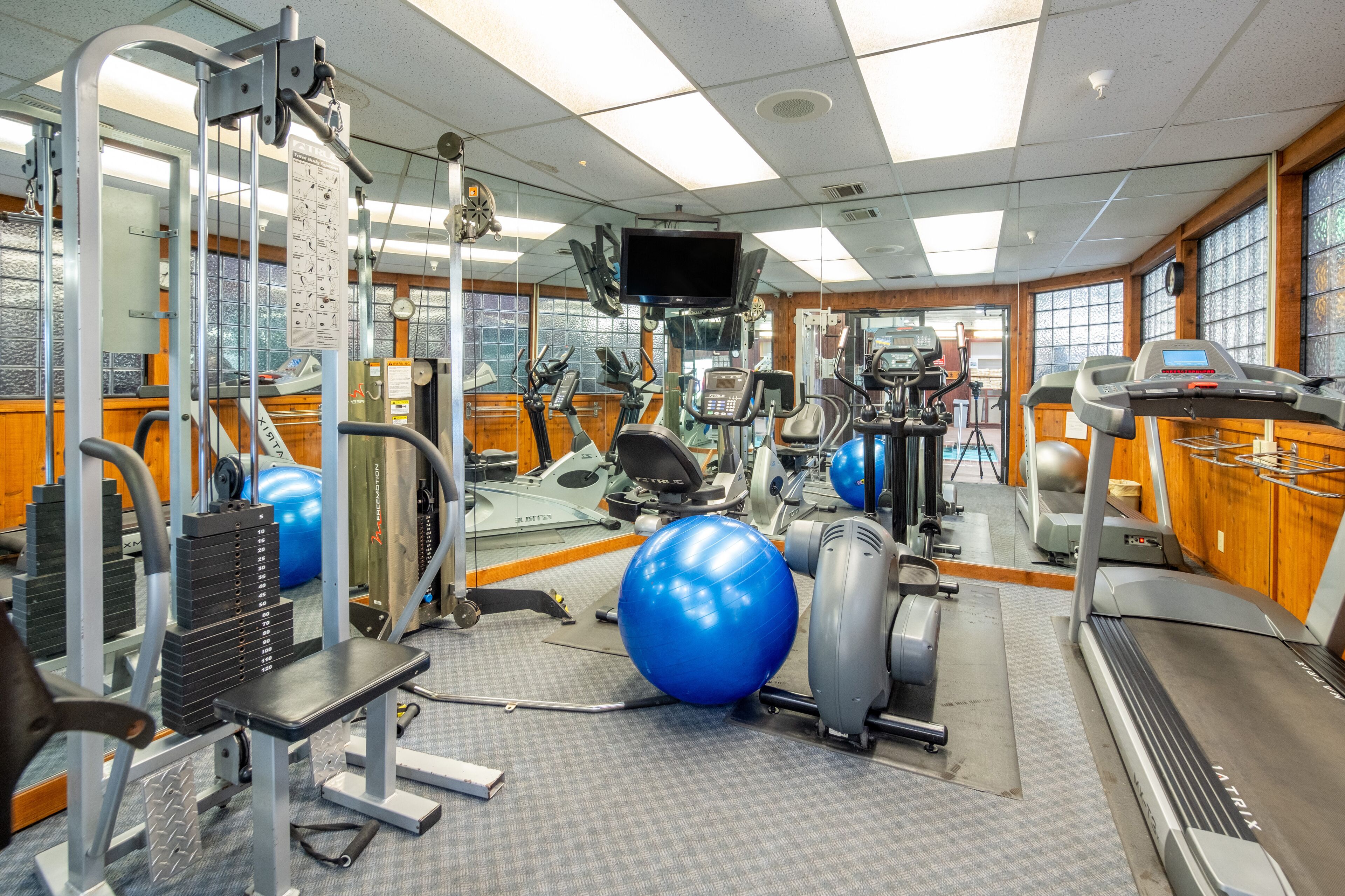 Une salle de sport équipée de divers appareils d’exercice, notamment des tapis de course, des vélos d’appartement et des poids libres.