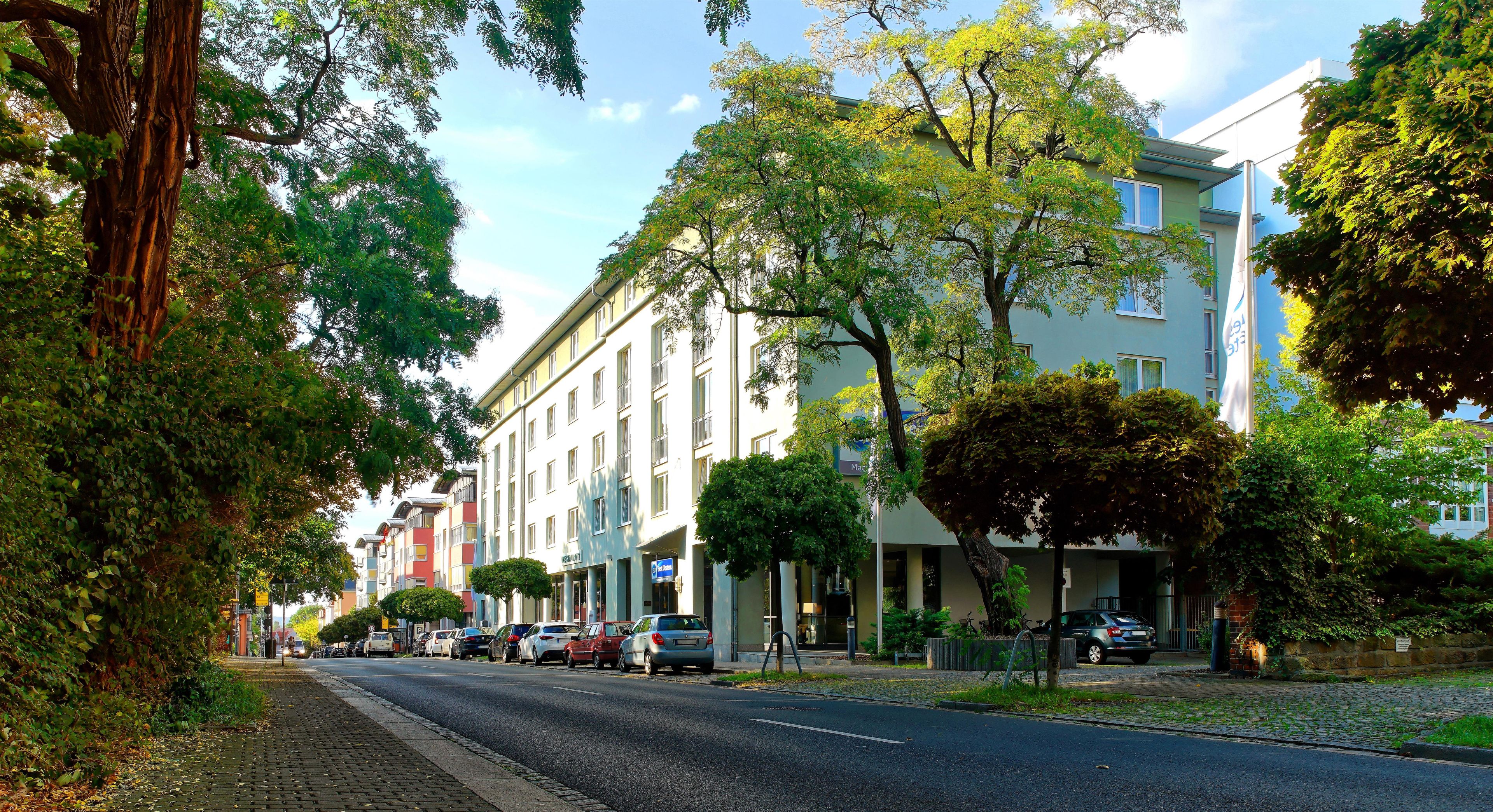 Une rue bordée d’immeubles à plusieurs étages, de voitures garées et d’arbres.