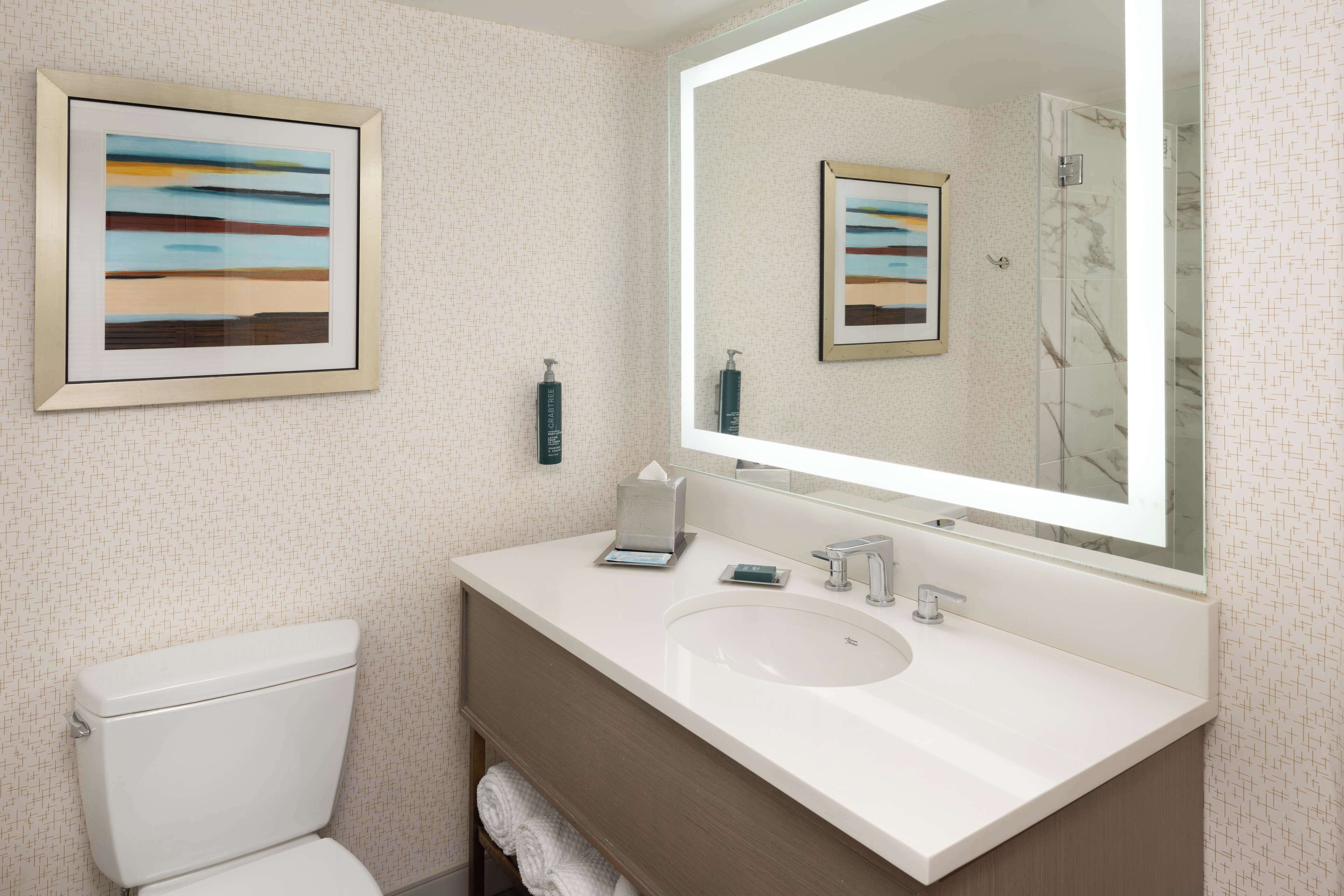 A modern bathroom with a white sink, a large mirror, and a framed painting on the wall.