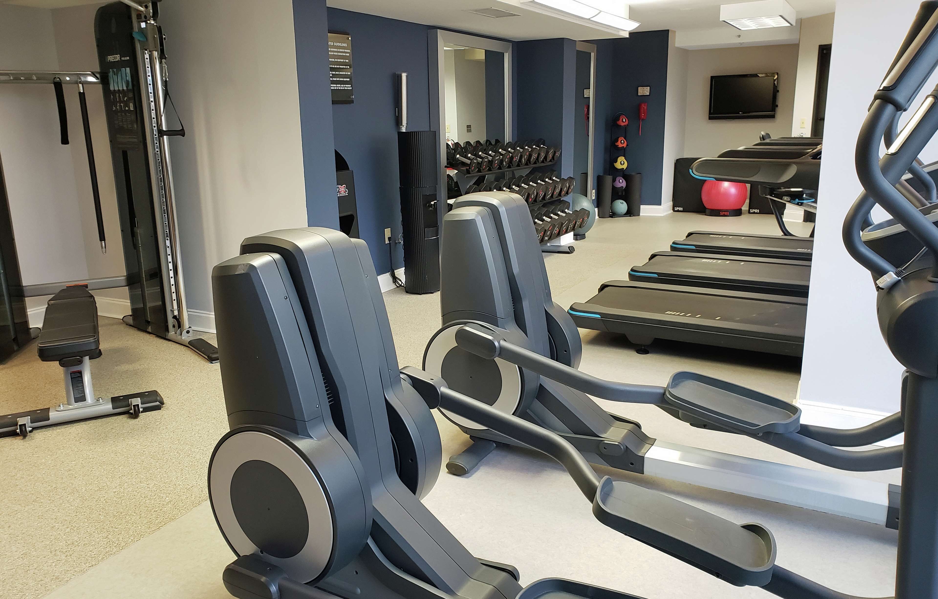Una palestra con tapis roulant, ellittiche e pesi liberi.