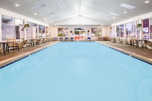 Indoor pool, pool loungers