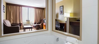 Comfort Inn Downtown