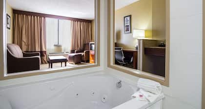 Comfort Inn Downtown