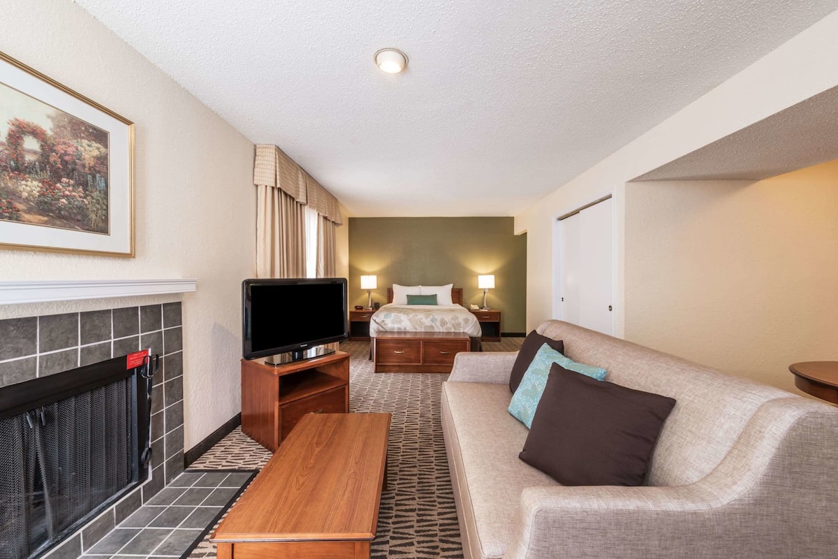 Studio Suite, 1 Queen Bed, Non Smoking | Desk, iron/ironing board, free cots/infant beds, free WiFi
