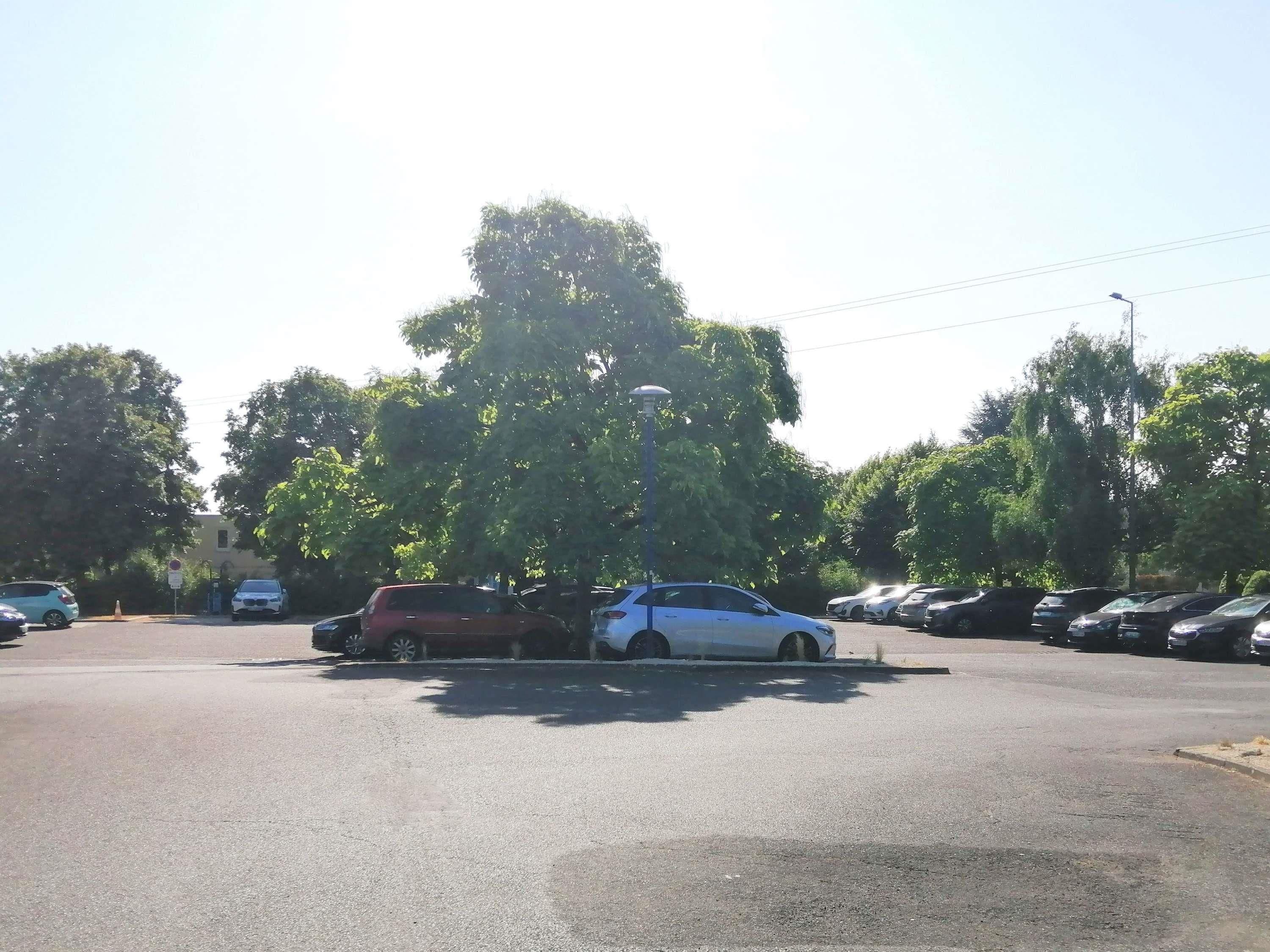 Een parkeerplaats met verschillende geparkeerde auto's, omgeven door bomen en een heldere lucht.