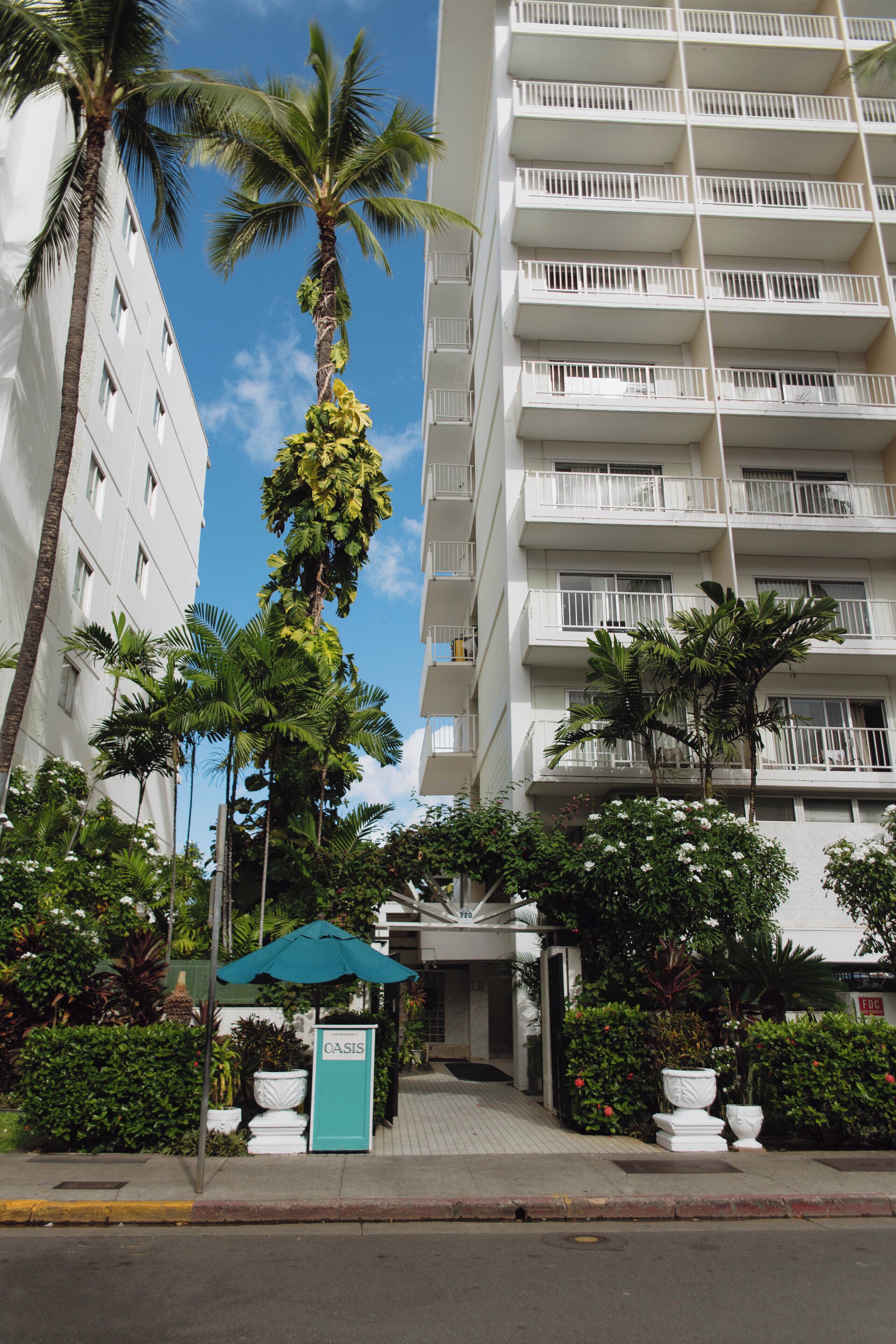 Photo - Oasis Hotel Waikiki