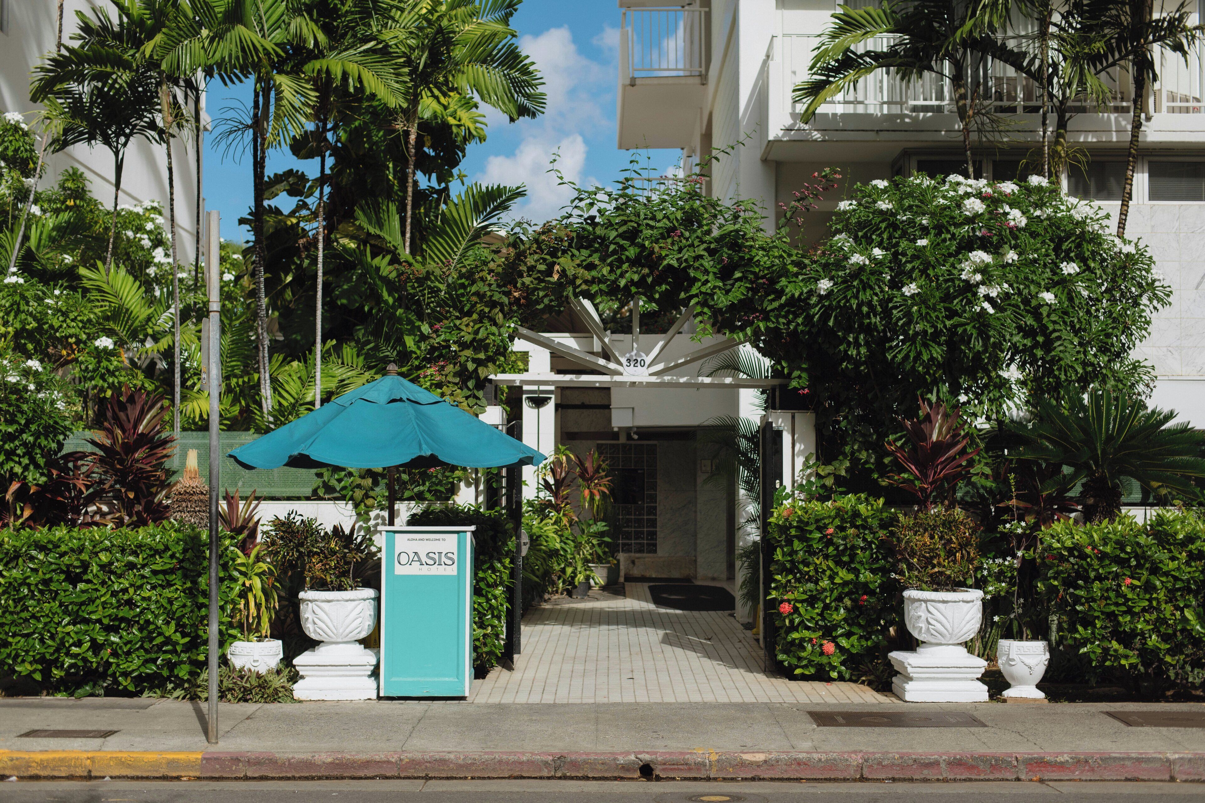 A hotel entrance with a sign, a pathway, and lush greenery.