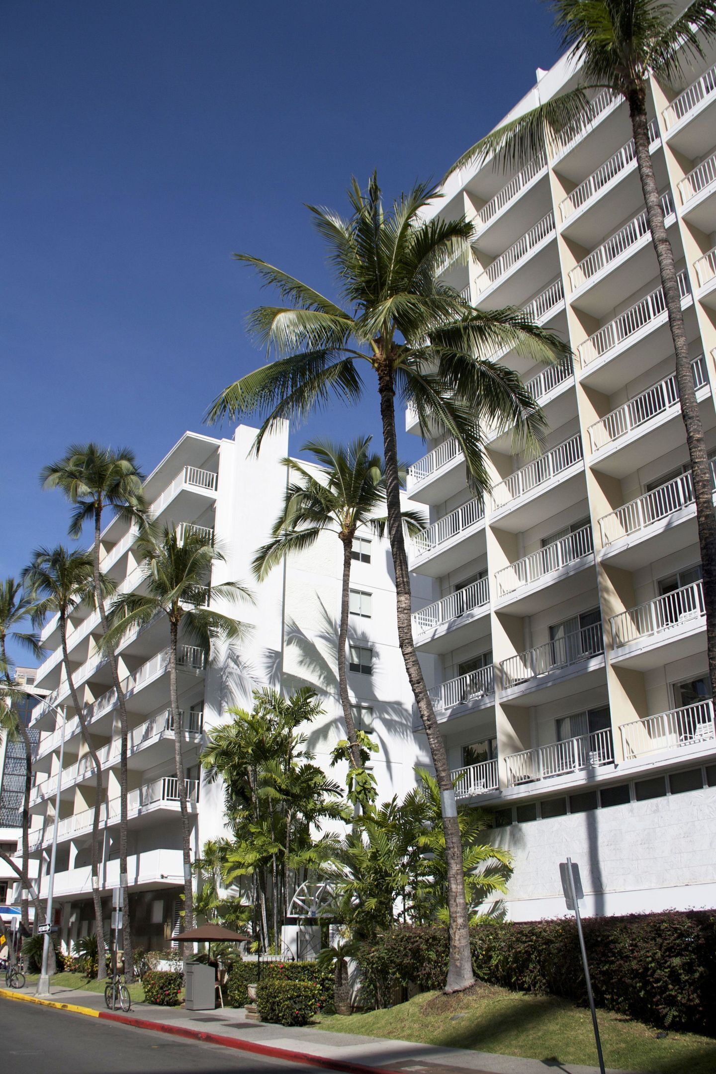 Foto - Oasis Hotel Waikiki
