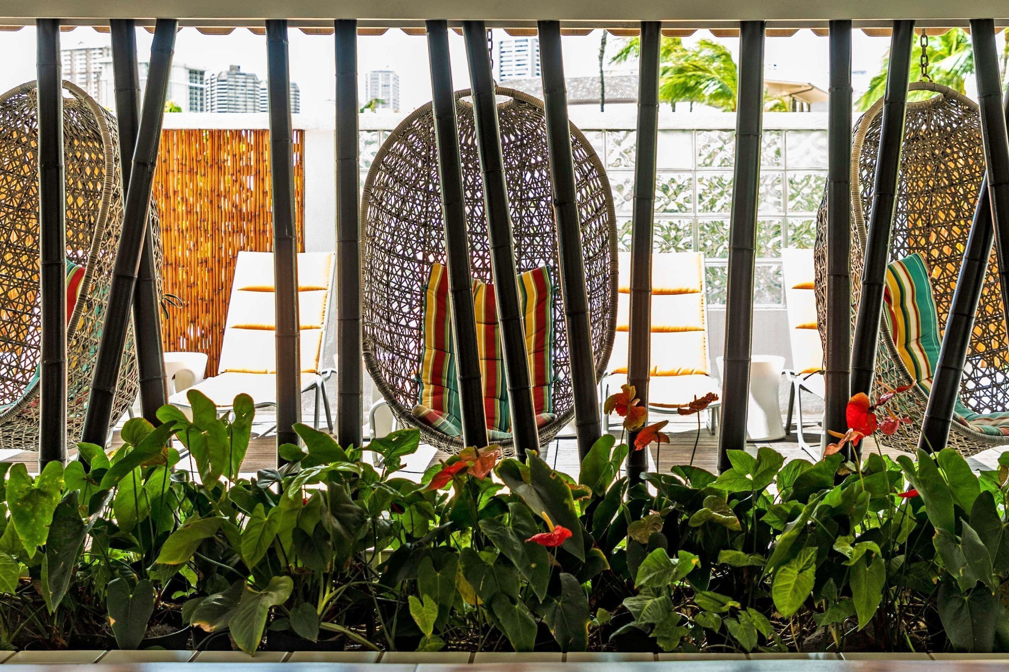 A room with a large window, a wicker chair, and a plant.