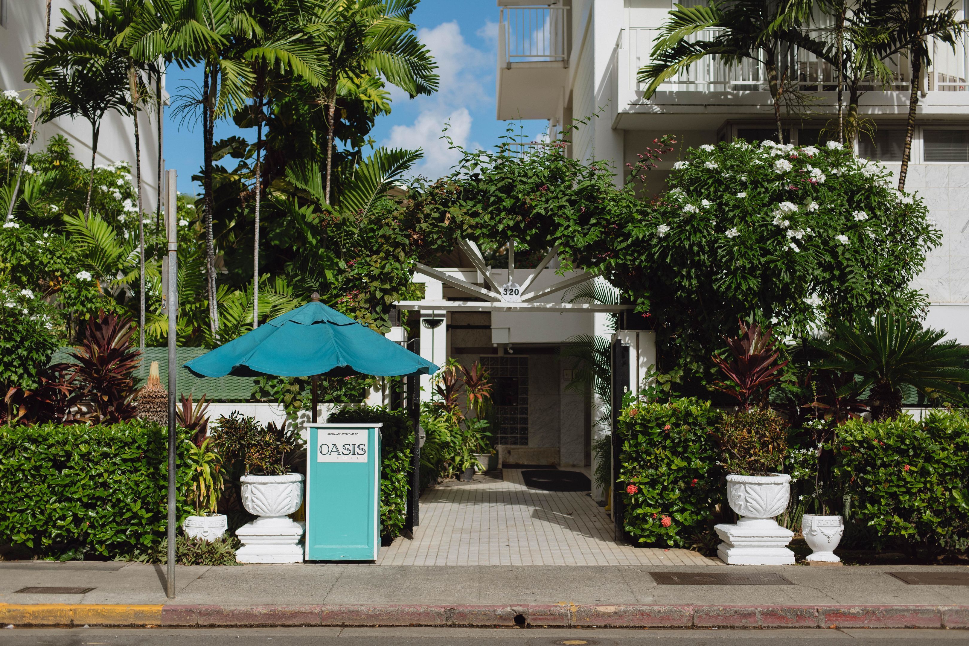 Foto - Oasis Hotel Waikiki