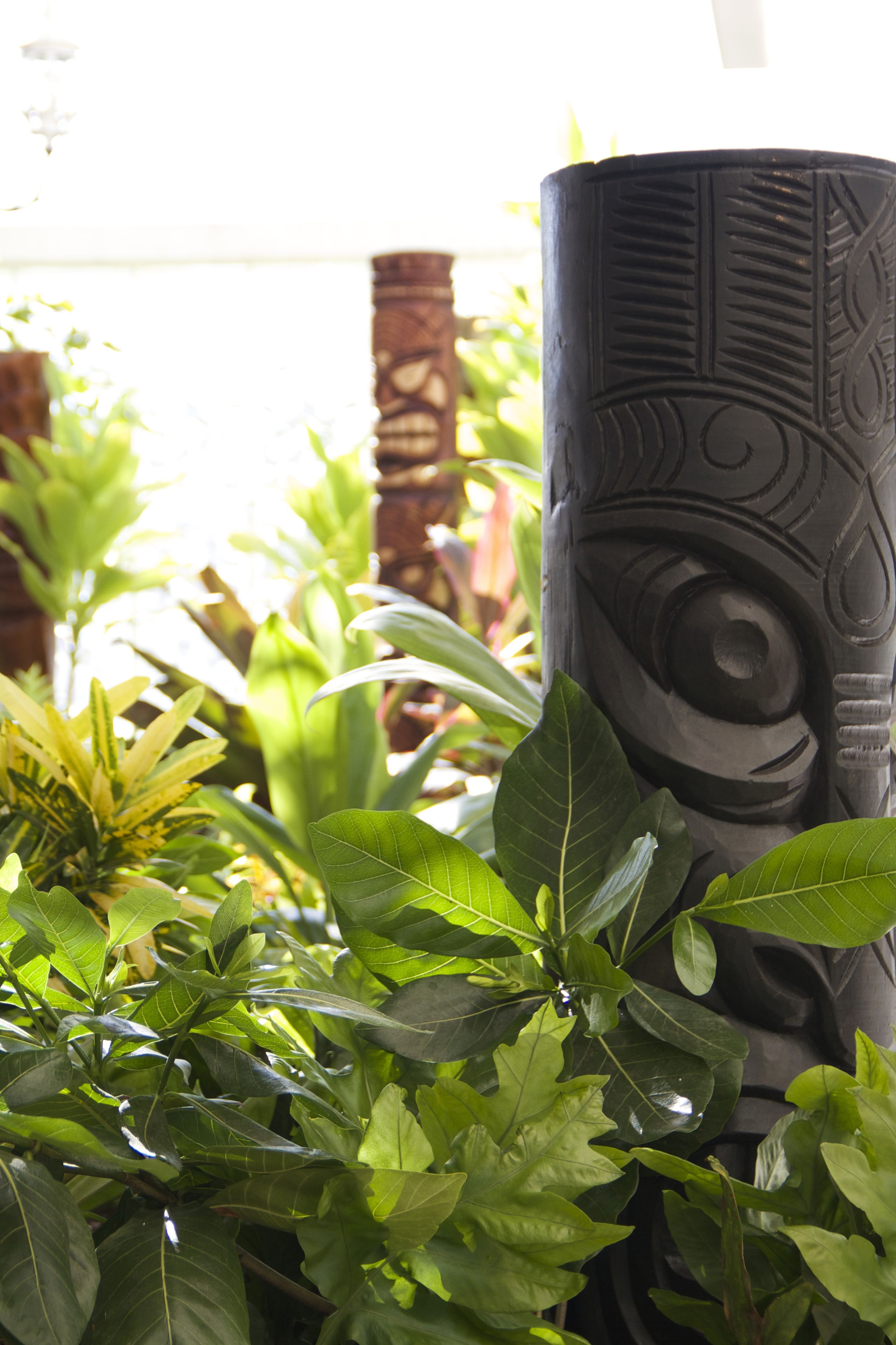 Photo - Oasis Hotel Waikiki