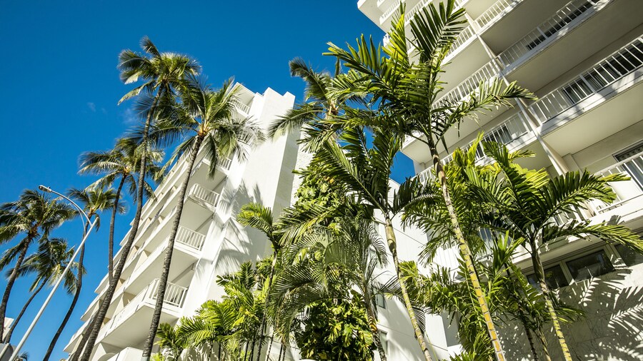 Oasis Hotel Waikiki