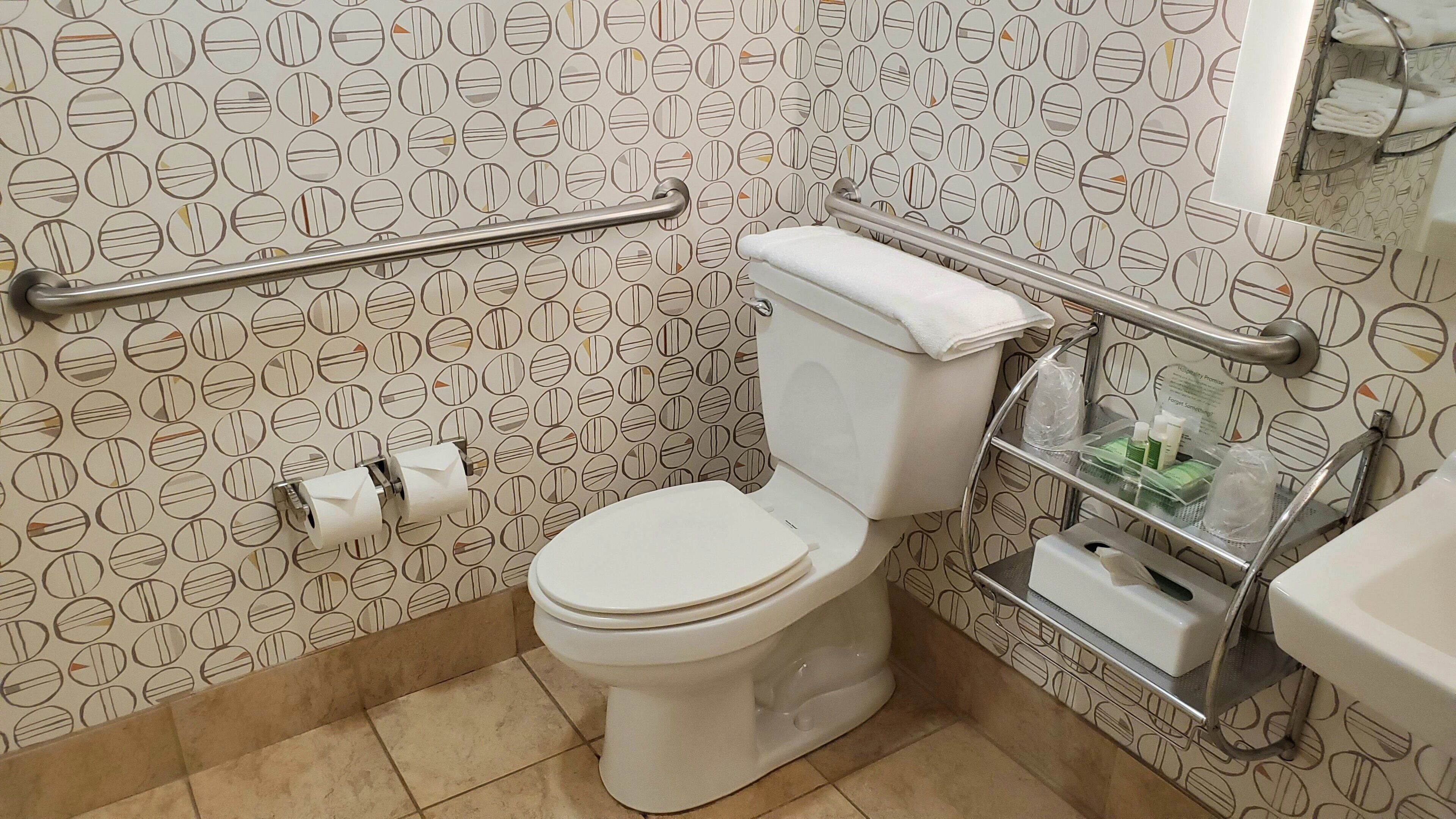 Ein Badezimmer mit Toilette, Haltegriffen, einem Handtuchhalter und einem Ablagefach für Toilettenartikel.